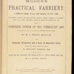 1874 EQUESTRIAN Farriery Miles Veterinary Medicine Cattle Cows ART Horses