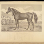 1874 EQUESTRIAN Farriery Miles Veterinary Medicine Cattle Cows ART Horses