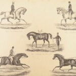 1874 EQUESTRIAN Farriery Miles Veterinary Medicine Cattle Cows ART Horses