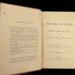 1880 DARWIN Origin of Species Evolution Survival of Fittest Biology Science