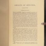 1880 DARWIN Origin of Species Evolution Survival of Fittest Biology Science