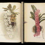 1890 ORCHID Culture & Management Botany Horticulture Color Illustrated Flowers