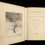 1874 VERNE 1ed Dr Ox Master Zachary Ice Fields Paul Verne Mont Blanc Expedition