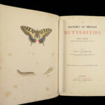 1895 Butterflies Butterfly ART Naturalist Entomology Science 79 Color PLATES