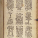 1673 Mirror of Beauty & Health Herbal MEDICINE Diseases Guyon 200+ Woodcuts RARE