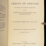 1891 Darwin Origin of Species EVOLUTION Survival of Fittest Important 6th ed