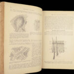 1893 Henry Gray GRAY’S ANATOMY Human Surgery Illustrated Medicine Physician