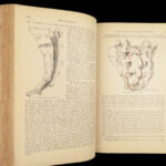 1893 Henry Gray GRAY’S ANATOMY Human Surgery Illustrated Medicine Physician