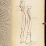 1893 Henry Gray GRAY’S ANATOMY Human Surgery Illustrated Medicine Physician