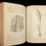 1893 Henry Gray GRAY’S ANATOMY Human Surgery Illustrated Medicine Physician