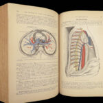 1893 Henry Gray GRAY’S ANATOMY Human Surgery Illustrated Medicine Physician