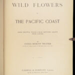 1887 Wild Flowers Pacific Coast California Oregon Seattle Washington Botanical