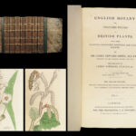 1832 English Botany Sowerby 1400 Color Engravings Botanical ART Flowers Plants