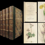 1832 English Botany Sowerby 1400 Color Engravings Botanical ART Flowers Plants