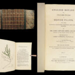 1832 English Botany Sowerby 1400 Color Engravings Botanical ART Flowers Plants