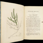 1832 English Botany Sowerby 1400 Color Engravings Botanical ART Flowers Plants