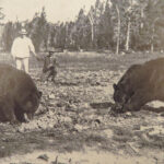 1905 Theodore Roosevelt 1ed Outdoor Pastimes of American Hunter Big Game Hunting