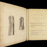 1786 Hunter Venereal Diseases 1ed Surgery Urology English Illustrated Medicine