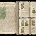 1559 Mattioli HERBAL Botany Medicine Pharmacy Dioscorides Kreuterbuch Woodcuts