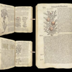 1559 Mattioli HERBAL Botany Medicine Pharmacy Dioscorides Kreuterbuch Woodcuts