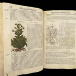 1559 Mattioli HERBAL Botany Medicine Pharmacy Dioscorides Kreuterbuch Woodcuts