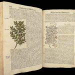 1559 Mattioli HERBAL Botany Medicine Pharmacy Dioscorides Kreuterbuch Woodcuts