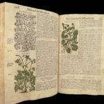 1559 Mattioli HERBAL Botany Medicine Pharmacy Dioscorides Kreuterbuch Woodcuts