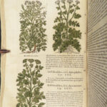 1559 Mattioli HERBAL Botany Medicine Pharmacy Dioscorides Kreuterbuch Woodcuts