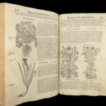 1559 Mattioli HERBAL Botany Medicine Pharmacy Dioscorides Kreuterbuch Woodcuts