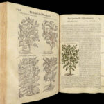 1559 Mattioli HERBAL Botany Medicine Pharmacy Dioscorides Kreuterbuch Woodcuts