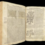 1559 Mattioli HERBAL Botany Medicine Pharmacy Dioscorides Kreuterbuch Woodcuts