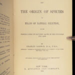 1879 Charles Darwin ORIGIN of Species + Descent of Man Evolution Biology Science