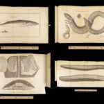 1835 John Hunter Anatomy Plates Illustrated SURGERY Human Biology Animals 5v SET