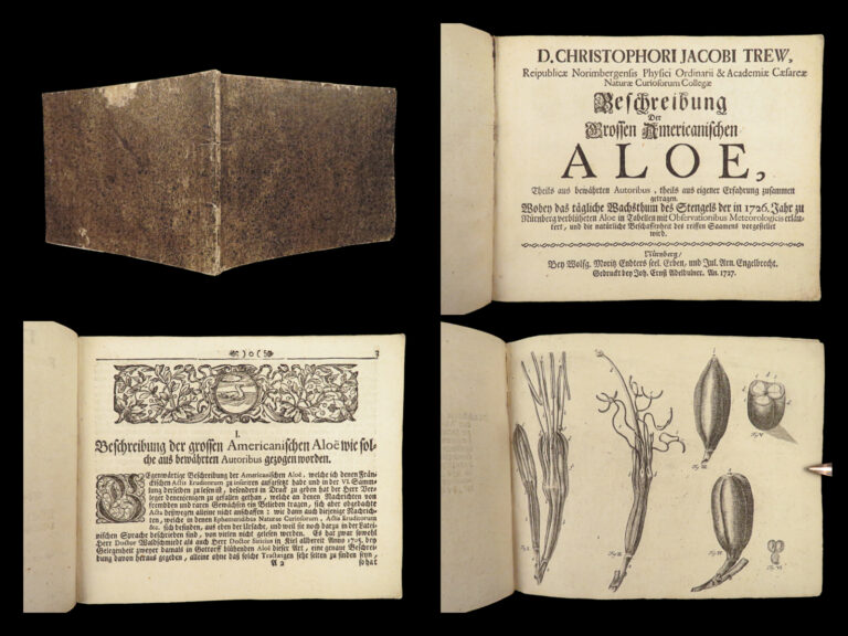 Image of 1727 ALOE 1ed Botany Medicine Healing Cures American Trew Meteorology Nuremburg