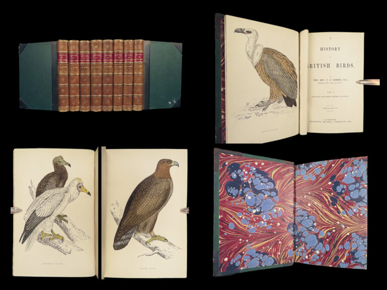 Image of 1867 British BIRDS 300+ Hand-colored Illustrations Woodpeckers Swift Morris 8v