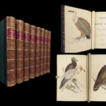 1867 British BIRDS 300+ Hand-colored Illustrations Woodpeckers Swift Morris 8v