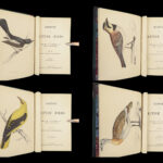 1867 British BIRDS 300+ Hand-colored Illustrations Woodpeckers Swift Morris 8v