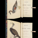 1867 British BIRDS 300+ Hand-colored Illustrations Woodpeckers Swift Morris 8v