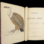 1867 British BIRDS 300+ Hand-colored Illustrations Woodpeckers Swift Morris 8v