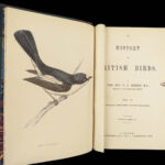 1867 British BIRDS 300+ Hand-colored Illustrations Woodpeckers Swift Morris 8v