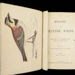 1867 British BIRDS 300+ Hand-colored Illustrations Woodpeckers Swift Morris 8v