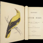 1867 British BIRDS 300+ Hand-colored Illustrations Woodpeckers Swift Morris 8v