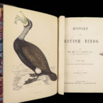 1867 British BIRDS 300+ Hand-colored Illustrations Woodpeckers Swift Morris 8v