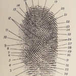 1916 Fingerprint Instructor 1st ed Forensic Criminal Science Crime Kuhne SIGNED