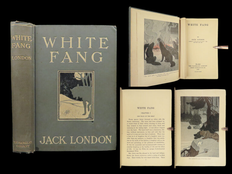 Image of 1906 White Fang by Jack London 1st ed Adventure Novel Illustrated Wolves Indians