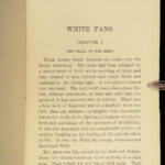 1906 White Fang by Jack London 1st ed Adventure Novel Illustrated Wolves Indians