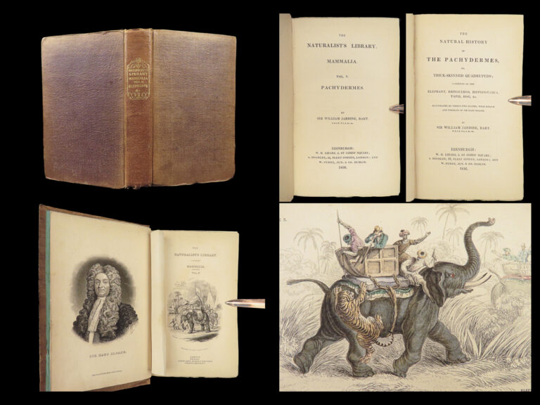 Image of 1836 Jardine Naturalist 1ed Mammals Africa Elephant Rhino Warthog Pachyderms ART