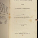 1837 DINOSAURS 1ed Geology Paleontology Fossils Megalosaurus Iguanodon Buckland