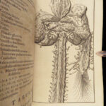 1695 ANATOMY Medicine Surgery Dutch Steven Blankaart Illustrated Skeleton Latin