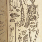 1695 ANATOMY Medicine Surgery Dutch Steven Blankaart Illustrated Skeleton Latin